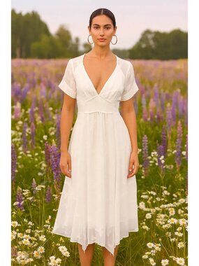 Monte Serafina White Butterfly Midi Sheer Dress Size Large NWT